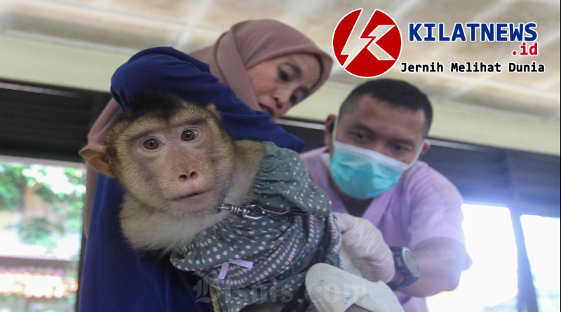 cegah rabies 45 ribu hewan penular rabies divaksin oleh petugas di Jakarta